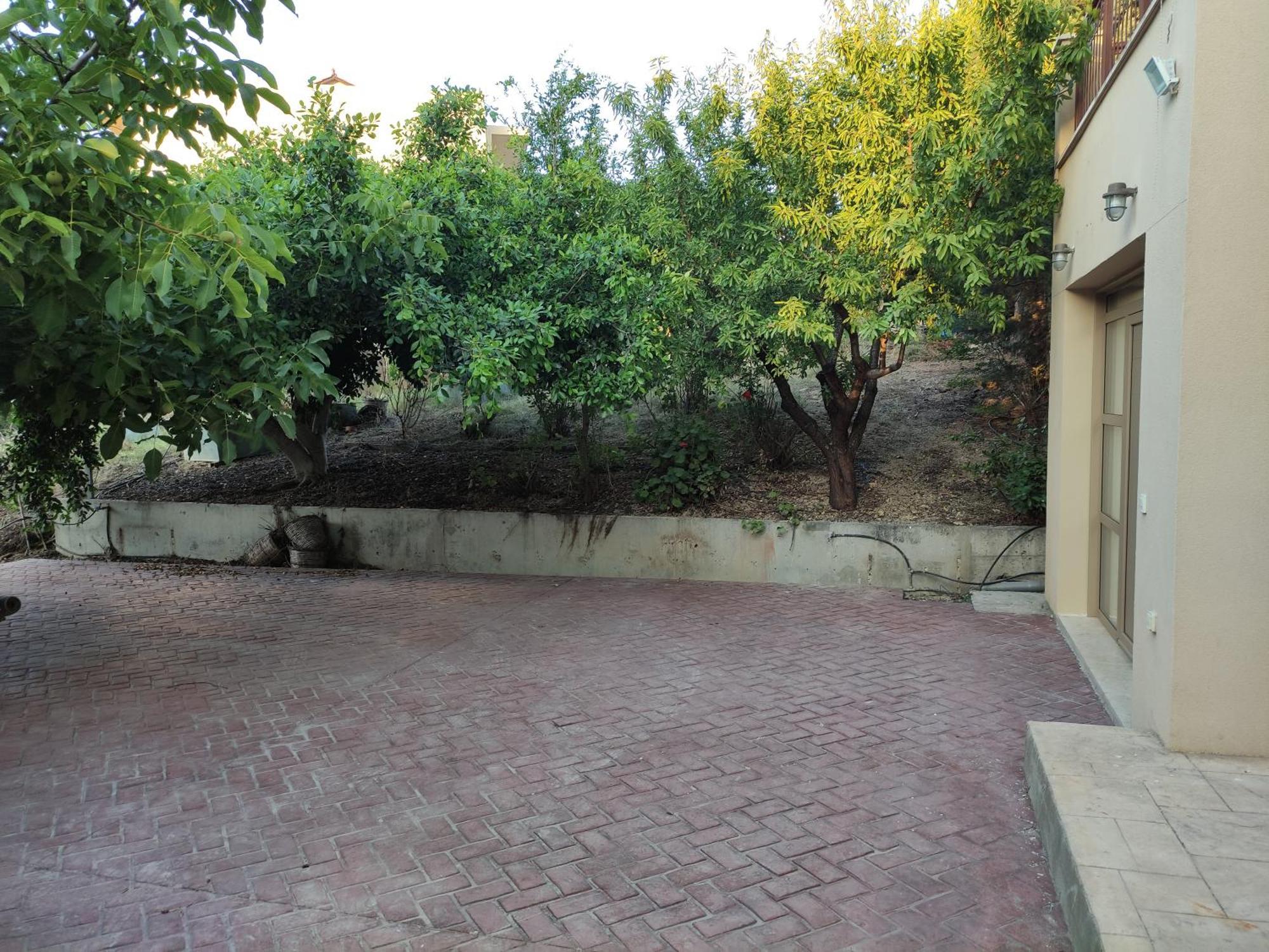 Under The Trees Apartment